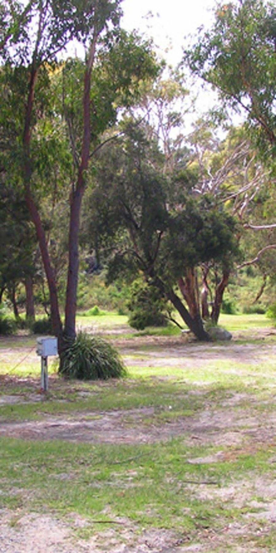 Scamander Tourist Park Exterior photo