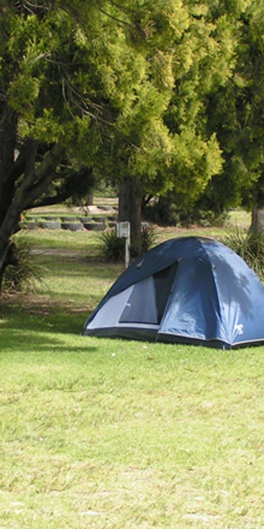 Scamander Tourist Park Exterior photo